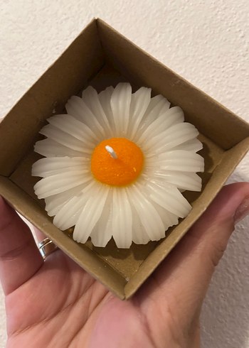  Beden mavi Renk Çiçek mumlar