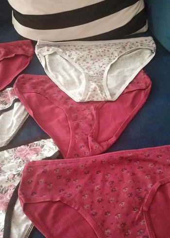 Pembe Gül Desenli Bohem Vintage Kadın Külot - Görsel 3