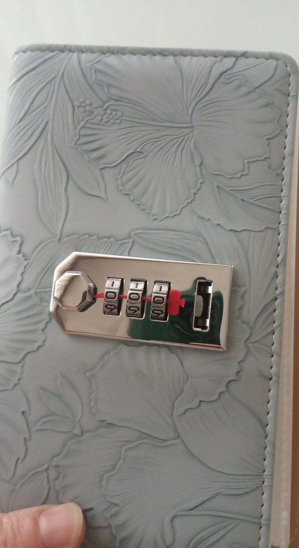 Gri Deri Kadın Cüzdanı Tokalı Desenli - Görsel 5