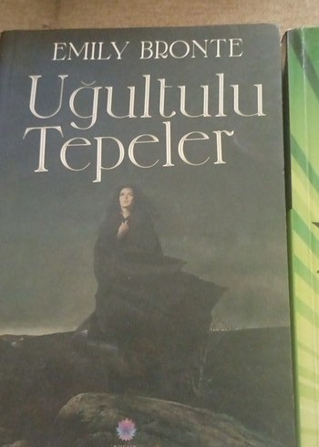 Dört Roman Seti: Klasik ve Çocuk Kitapları - Görsel 4