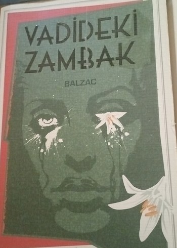 Dört Roman Seti: Klasik ve Çocuk Kitapları - Görsel 3