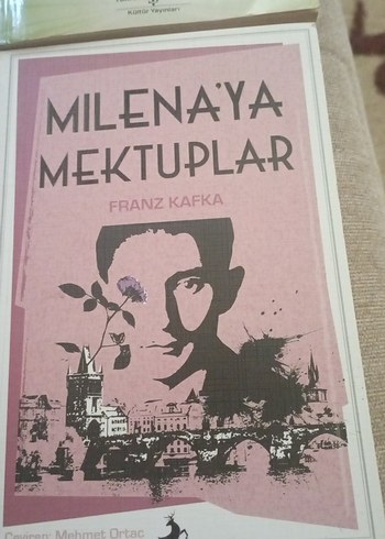 Dört Roman Seti: Klasik ve Çocuk Kitapları - Görsel 2