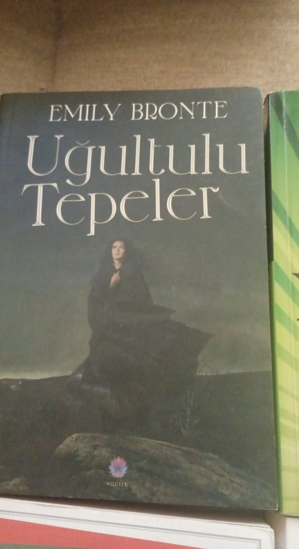 Dört Roman Seti: Klasik ve Çocuk Kitapları - Görsel 4