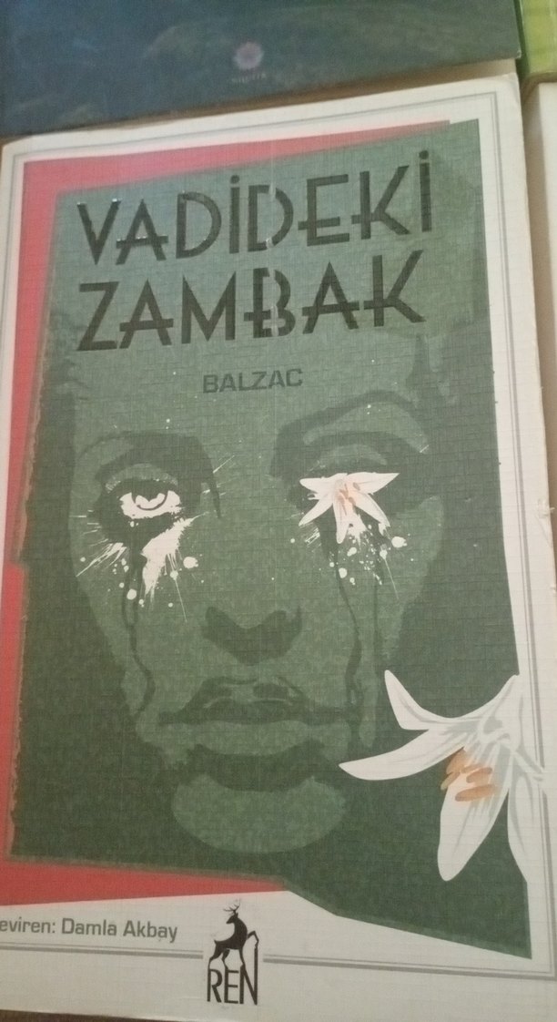 Dört Roman Seti: Klasik ve Çocuk Kitapları - Görsel 3