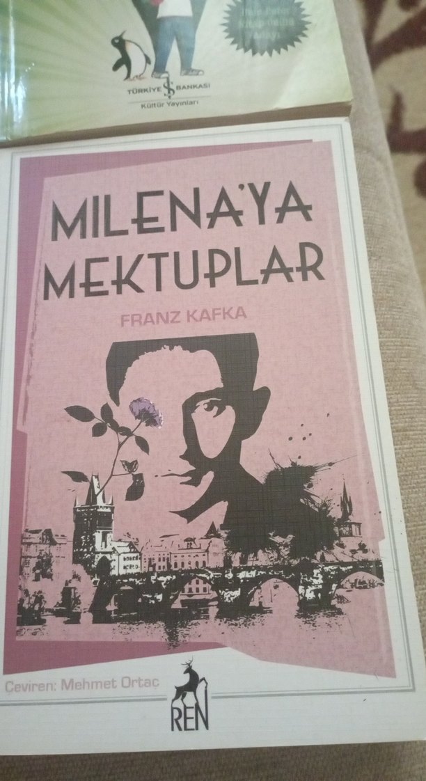 Dört Roman Seti: Klasik ve Çocuk Kitapları - Görsel 2