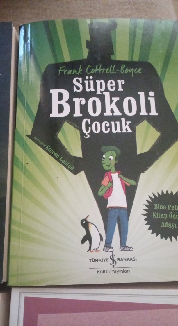 Dört Roman Seti: Klasik ve Çocuk Kitapları - Görsel 5