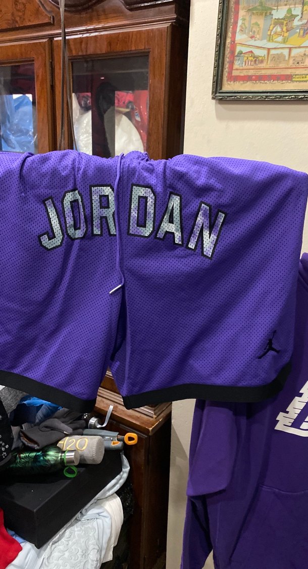 Mor Los Angeles Lakers Kapüşonlu Sweatshirt - Görsel 2