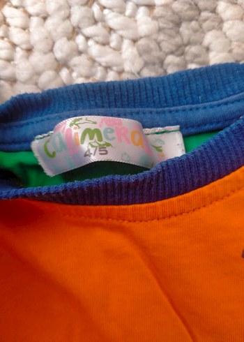 LC Waikiki Renkli Erkek Çocuk Kısa Kollu Tişört