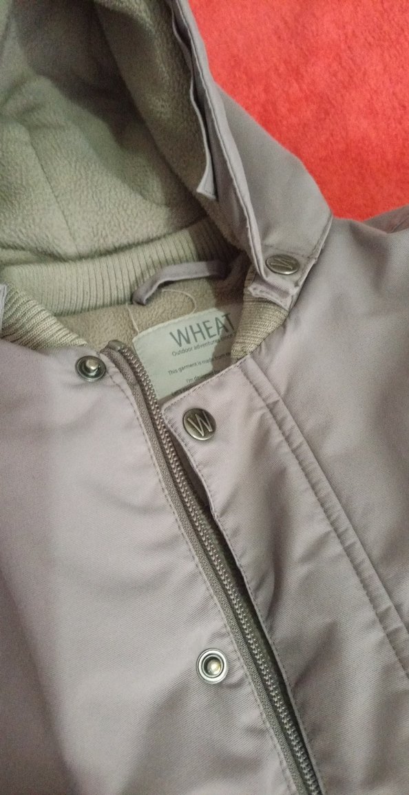 Erkek Çocuk kapşonlu kışlık Mont - Görsel 5