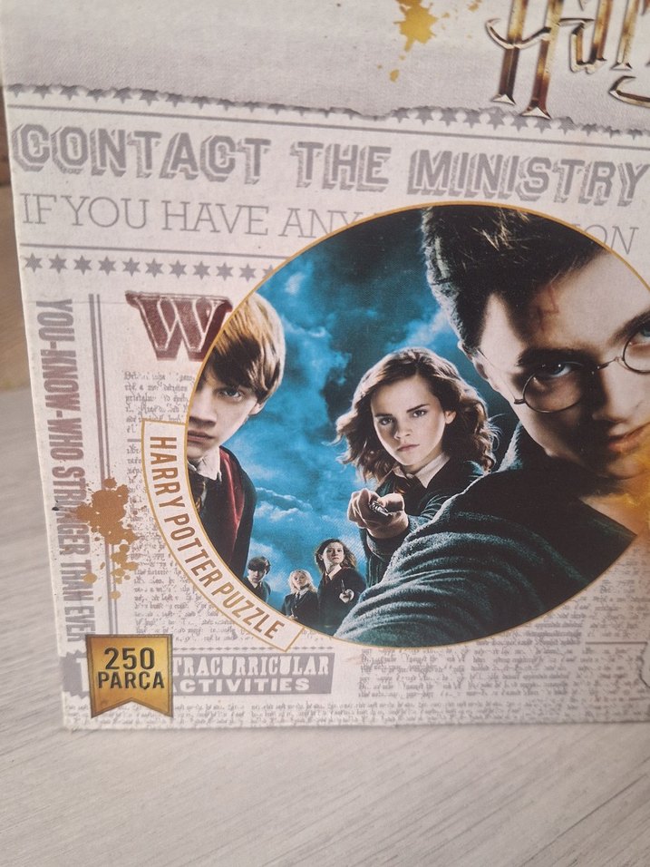 Harry Potter Puzzle 250 Parça - Görsel 2