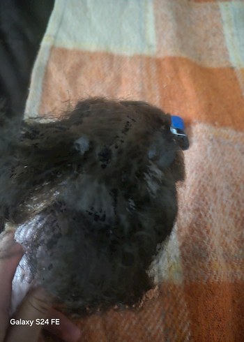 Elbiseli Bebek - Görsel 5