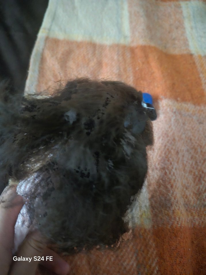 Elbiseli Bebek - Görsel 5