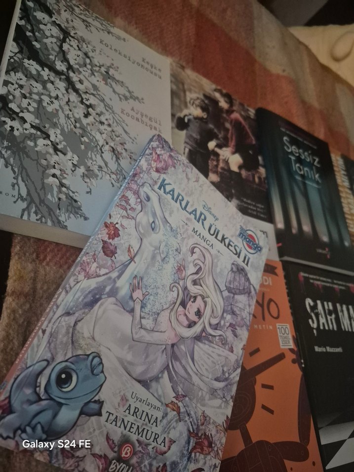 Çeşitli kitap Koleksiyonu - Görsel 2