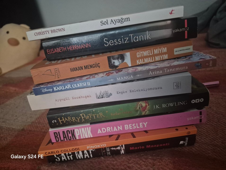 Çeşitli kitap Koleksiyonu - Görsel 3