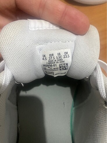Puma puma caven