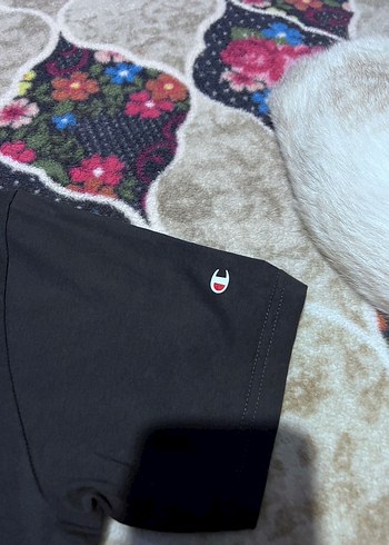 Champion Baskılı Siyah Erkek Tişört - Görsel 6