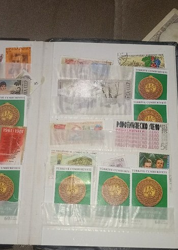 Altın Renkli Koleksiyonluk Madeni Paralar ve Banknotlar - Görsel 8