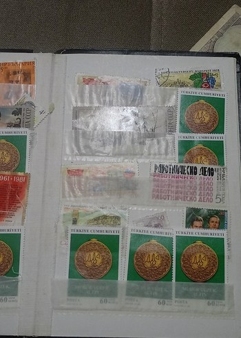 Altın Renkli Koleksiyonluk Madeni Paralar ve Banknotlar - Görsel 10