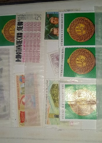 Altın Renkli Koleksiyonluk Madeni Paralar ve Banknotlar - Görsel 6