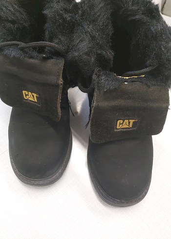 Siyah Kürklü CAT Erkek Bot