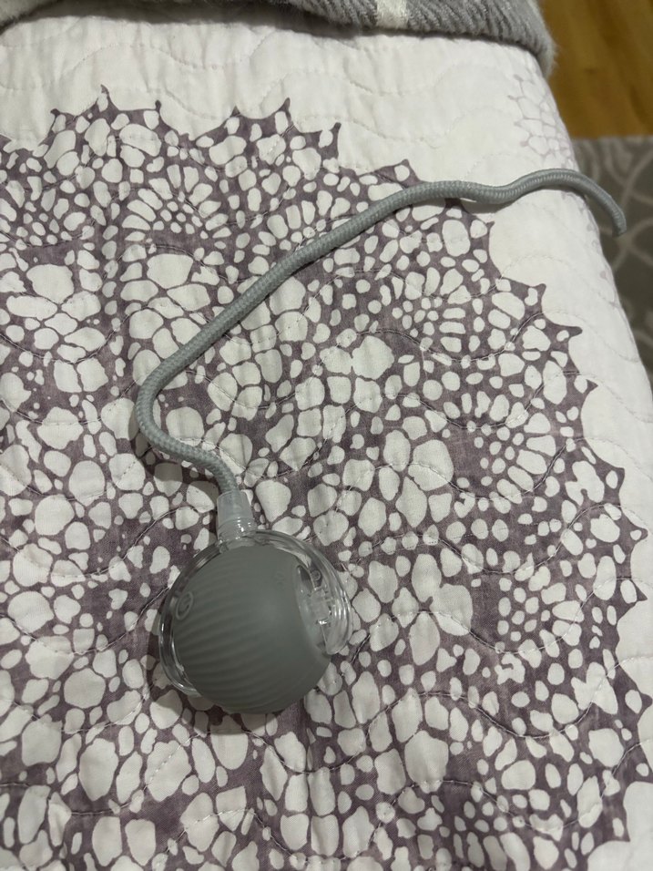 Kedi için Kırmızı Oyun Topu - Görsel 2