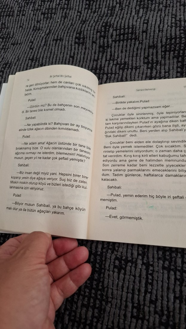 Bir Şeftali Bin Şeftali - Samed Behrengi - Görsel 3