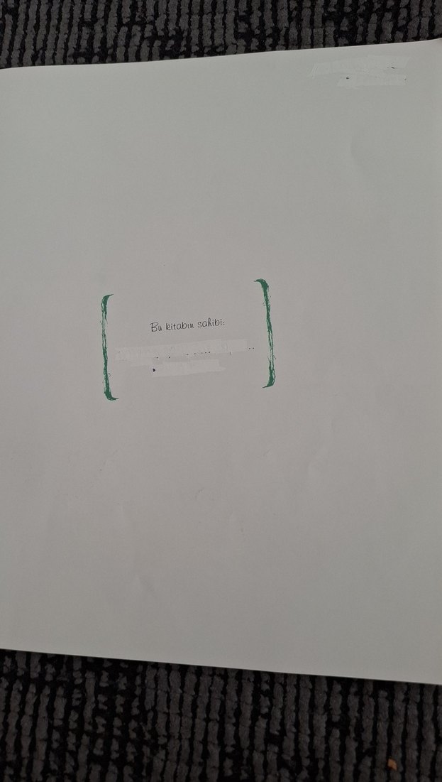 Behiç Ak - Kedi Adası Çocuk Kitabı - Görsel 2