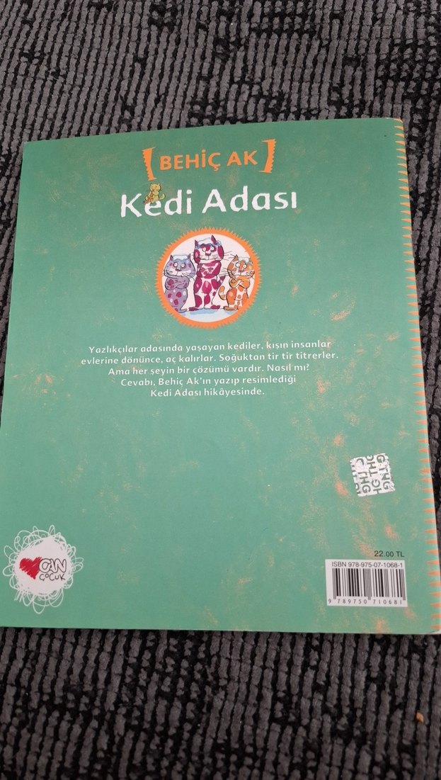 Behiç Ak - Kedi Adası Çocuk Kitabı - Görsel 4