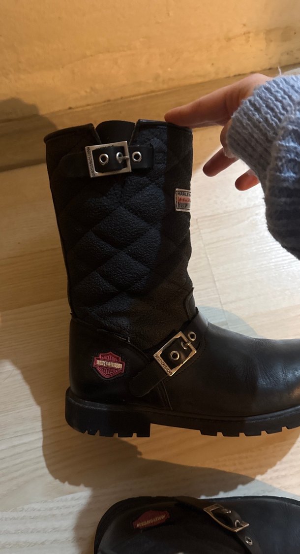 Harley davidson bot - Görsel 4