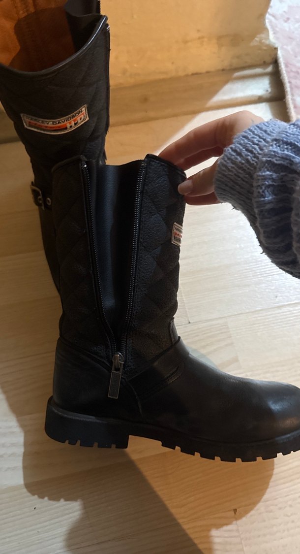 Harley davidson bot - Görsel 2