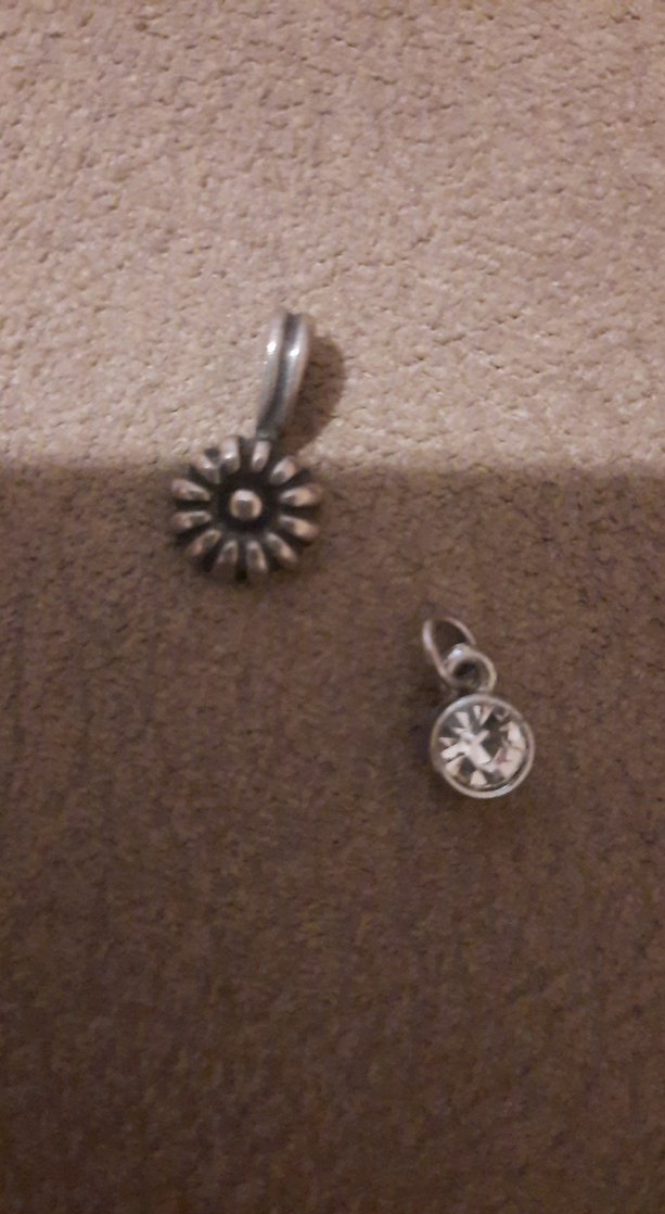 Gümüş Renkli Kadın Charm Seti - Görsel 4