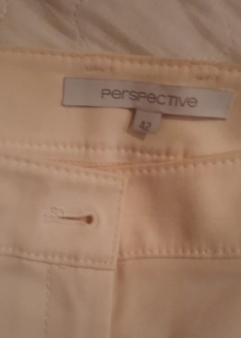 Perspective 42