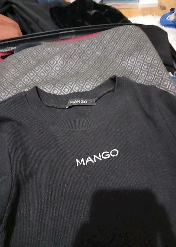 Mango m