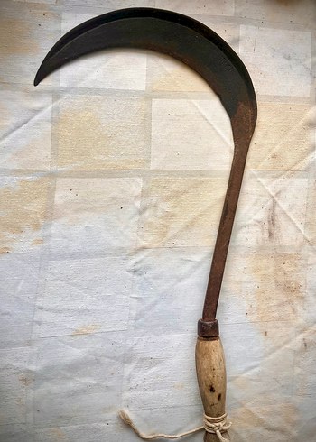 Accessory Collective