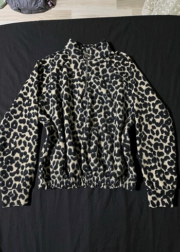 leopar desenli polar