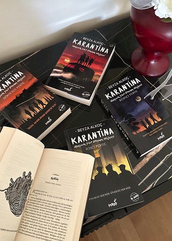 Beyza Alkoç - Karantina Roman Serisi