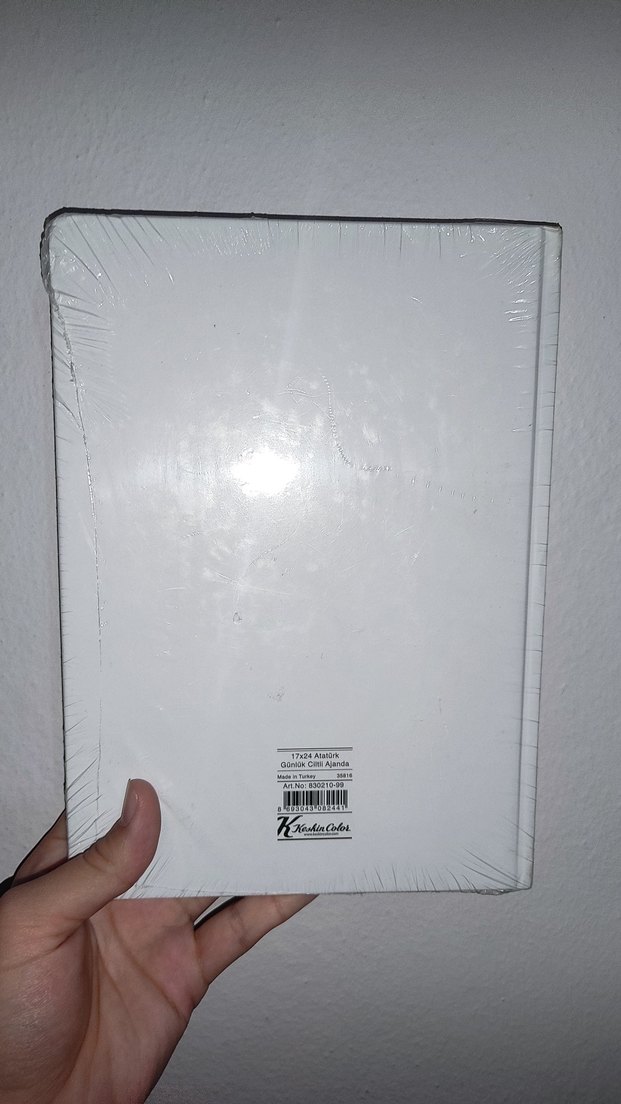 2017 ATATÜRK resimli ajanda - Görsel 2