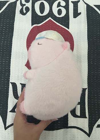 Beden Şapkalı Pembe Capybara