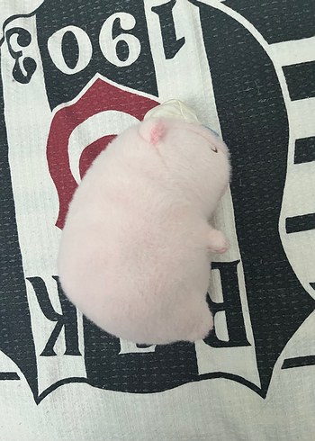 Beden Renk Şapkalı Pembe Capybara