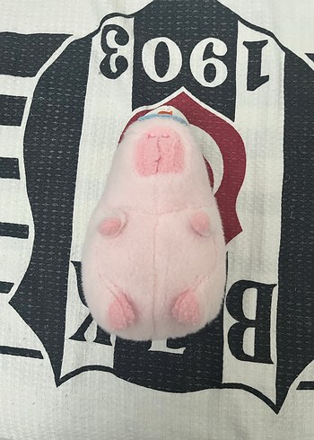 Diğer Şapkalı Pembe Capybara