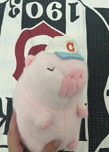 Şapkalı Pembe Capybara