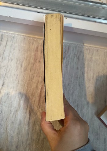 Elif Şafak - Aşk Romanı - Görsel 2