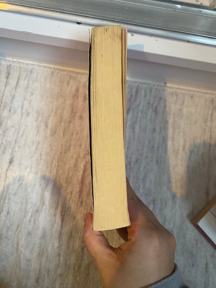 Elif Şafak - Aşk Romanı - Görsel 2