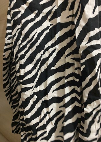 Zebra Desenli Uzun Kollu Kadın Gömlek - Görsel 3