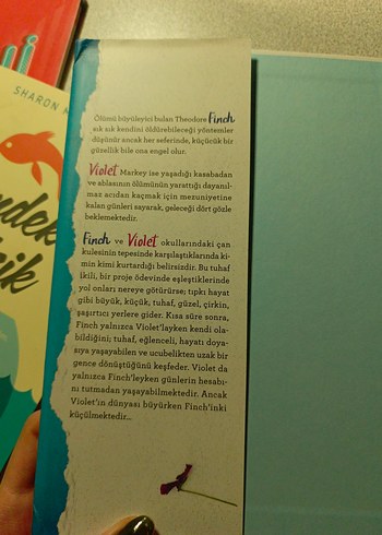 Hayatın Kıyısında - Jennifer Niven - Görsel 2