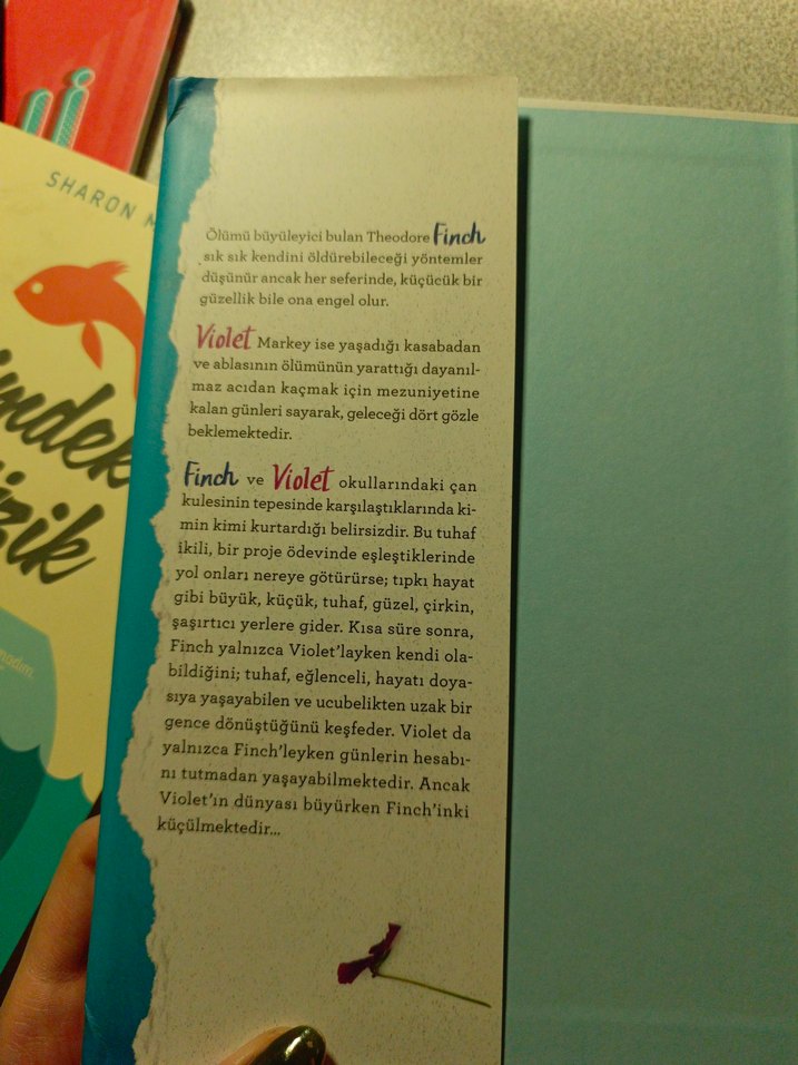 Hayatın Kıyısında - Jennifer Niven - Görsel 2