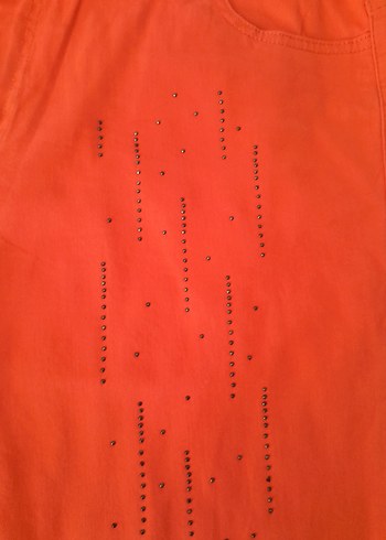 sahane Kadın Şort - Görsel 3