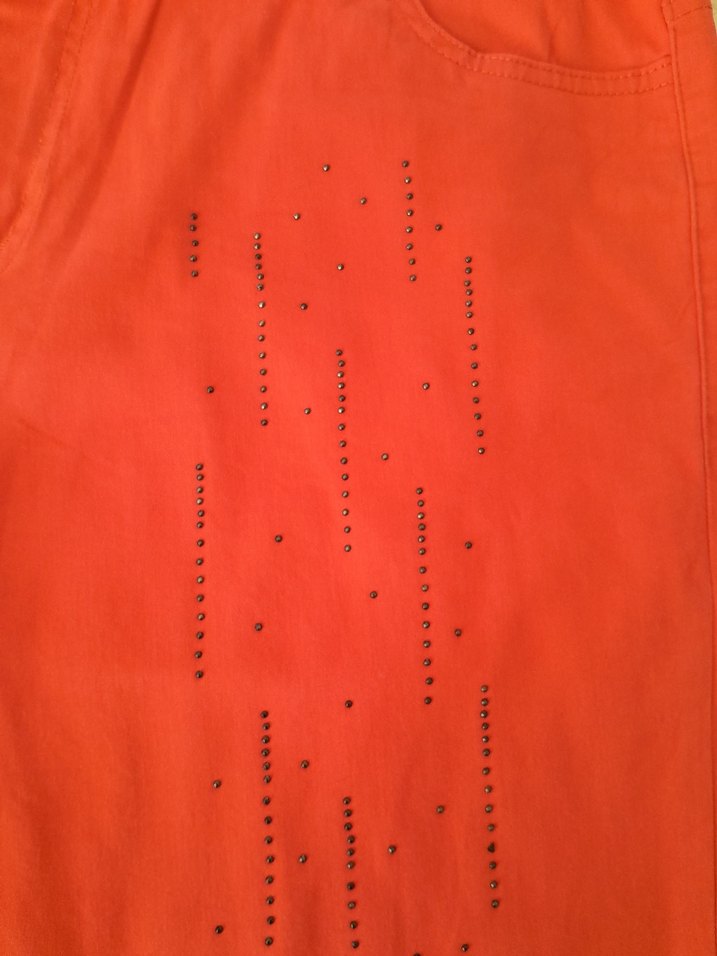 sahane Kadın Şort - Görsel 3