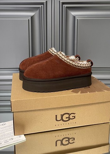 Ugg tazz terlik