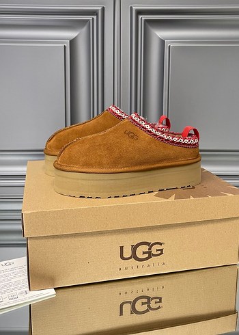 Ugg tazz terlik